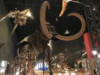 神奈川県立生命の星・地球博物館の写真・動画_image_98968