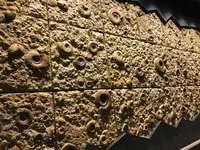 神奈川県立生命の星・地球博物館の写真・動画_image_98969