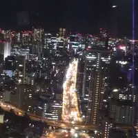 東京タワーの写真・動画_image_99116