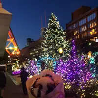 東京タワーの写真・動画_image_99117