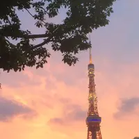 東京タワーの写真・動画_image_99193