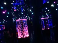 マクセル アクアパーク品川の写真・動画_image_99195