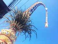 Ubudの写真・動画_image_99266