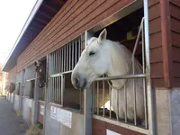 帯広競馬場（ばんえい十勝）の写真・動画_image_99287