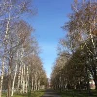 グリーンパークの写真・動画_image_99298