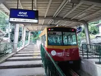 石清水八幡宮の写真・動画_image_99299