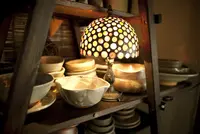 仙人掌の写真・動画_image_99340