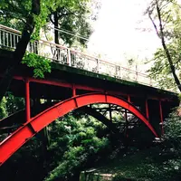 等々力渓谷の写真・動画_image_99396
