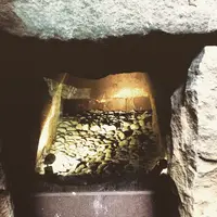 等々力渓谷の写真・動画_image_99400