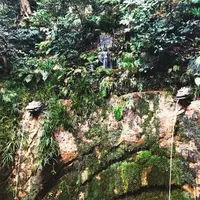 等々力渓谷の写真・動画_image_99401