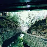 等々力渓谷の写真・動画_image_99403