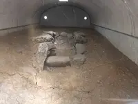 北区中央公園の写真・動画_image_99525