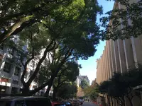 慶應義塾大学 三田キャンパスの写真・動画_image_99789