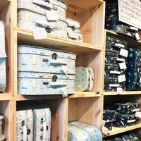 【閉業】Søstrene Grene 表参道店(ソストレーネ グレーネ おもてさんどうてん)の写真・動画_image_99800