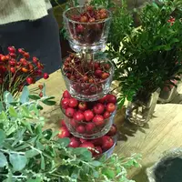 FUGAの写真・動画_image_99838