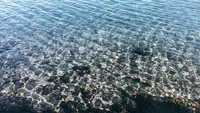 大瀬崎の写真・動画_image_1000705