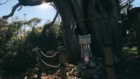 大瀬崎の写真・動画_image_1000707