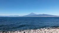 大瀬崎の写真・動画_image_1000708