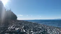 大瀬崎の写真・動画_image_1000709
