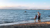 江の島の写真・動画_image_1000722