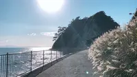 江の島の写真・動画_image_1000723