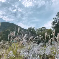 彫刻の森美術館の写真・動画_image_1000735