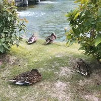 彫刻の森美術館の写真・動画_image_1000737