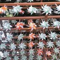 小江戸川越一番街商店街 蔵造りの町並みの写真・動画_image_1000744