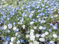 城ヶ崎海岸駅の写真・動画_image_1000776