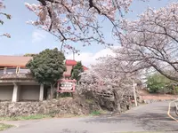 城ヶ崎海岸駅の写真・動画_image_1000778