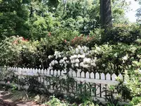 三鷹の森ジブリ美術館の写真・動画_image_1000787