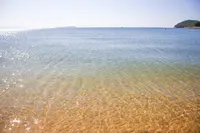 父母ヶ浜海岸の写真・動画_image_1004743