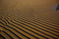 父母ヶ浜海岸の写真・動画_image_1004744