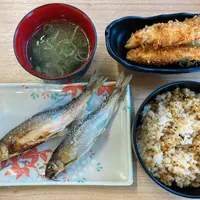大瀬観光やなの写真・動画_image_1006043