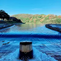 大瀬観光やなの写真・動画_image_1006046