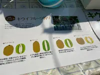 マザー牧場の写真・動画_image_1006278