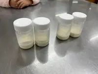 マザー牧場グランピング受付の写真・動画_image_1006290