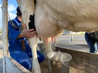 マザー牧場グランピング受付の写真・動画_image_1006297