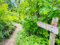 風越山の写真・動画_image_1006770