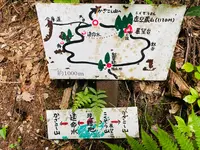 風越山の写真・動画_image_1006773