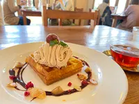 MOKUの写真・動画_image_1009350