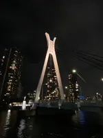 中央大橋の写真・動画_image_1009599