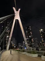中央大橋の写真・動画_image_1009600