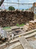 つくば石焼芋の写真・動画_image_1009615