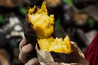 つくば石焼芋の写真・動画_image_1009617