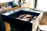 つくば石焼芋の写真・動画_image_1009618