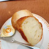 restaurant Ｓéｐｉａ ｶｼﾞｭｱﾙﾚｽﾄﾗﾝ セピアの写真・動画_image_1042686