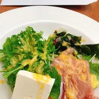 restaurant Ｓéｐｉａ ｶｼﾞｭｱﾙﾚｽﾄﾗﾝ セピアの写真・動画_image_1042687