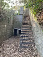 小島の写真・動画_image_1042783