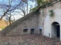 小島の写真・動画_image_1042785